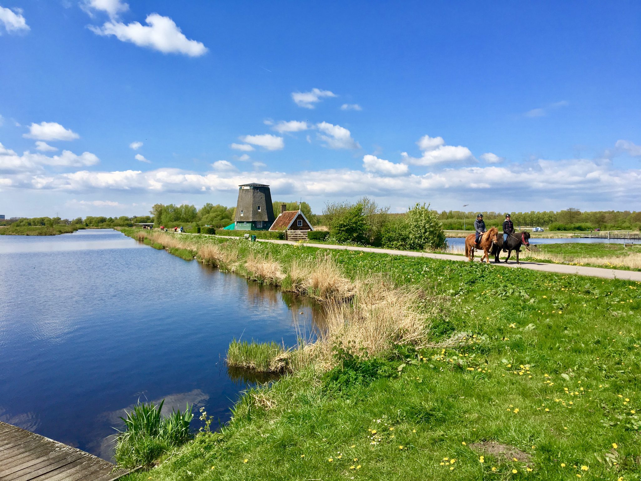 Amsterdam Island hopping with bikes